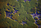 Phantom Lake Marsh Area